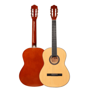 GUITARRA CLASICA TS-CG31-39N TAYSTE