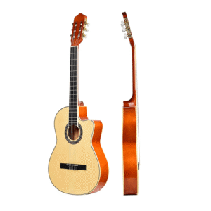 GUITARRA CLASICA  TS-CG33-39N TAYSTE