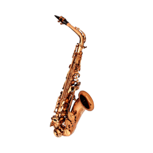 CANNONBALL  VINTAGE REBORN SERIES AVR-L / SAXO ALTO.