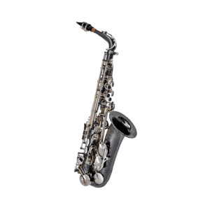 CANNONBALL  BIG BELL STONE SERIES A5-BS PREMIUM / SAXO ALTO.